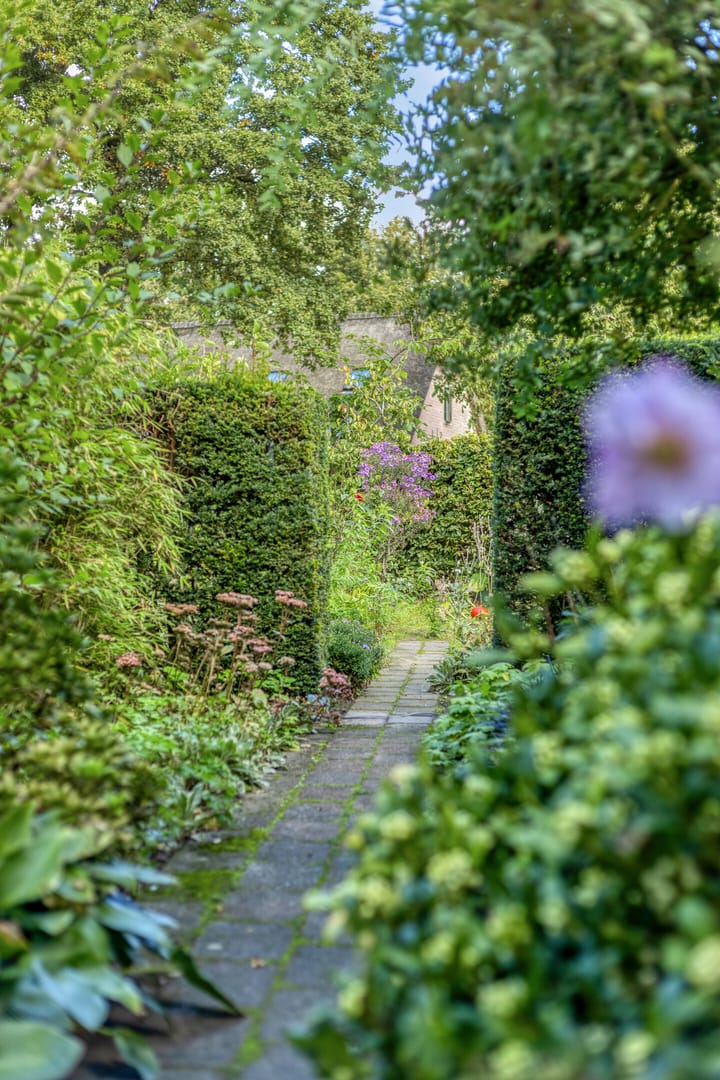 Foto 46 van Ferdinand Huycklaan 2-D