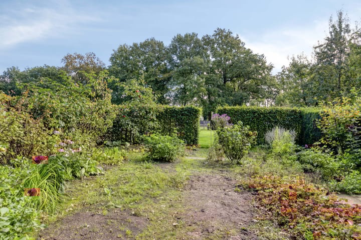 Foto 48 van Ferdinand Huycklaan 2-D