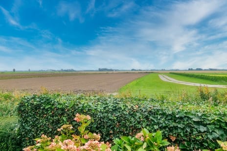 Gangwerf 2 secondary image