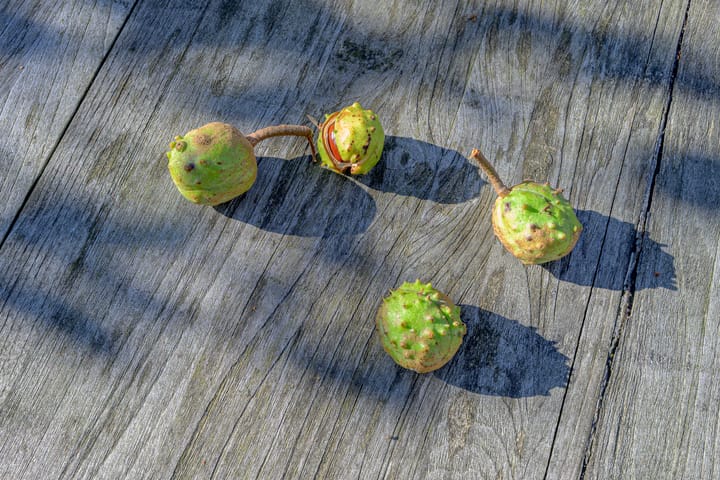 Photo 59 of Gangwerf 2