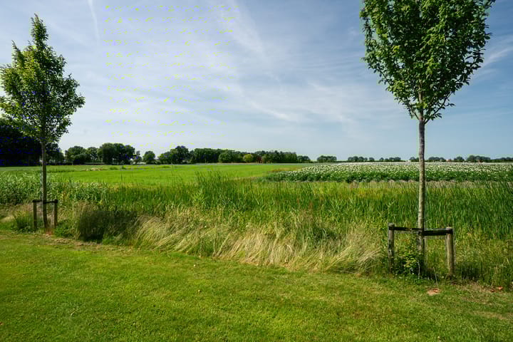 Photo 8 of Lichte 18