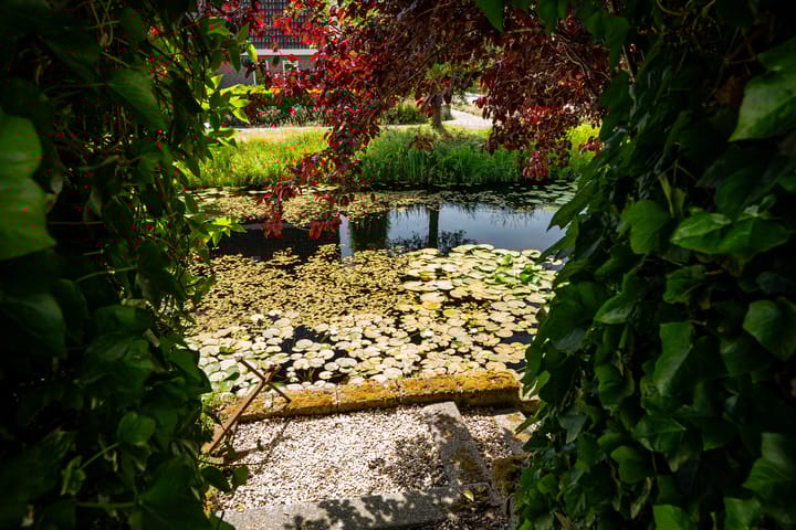 Photo 21 of Lichte 18