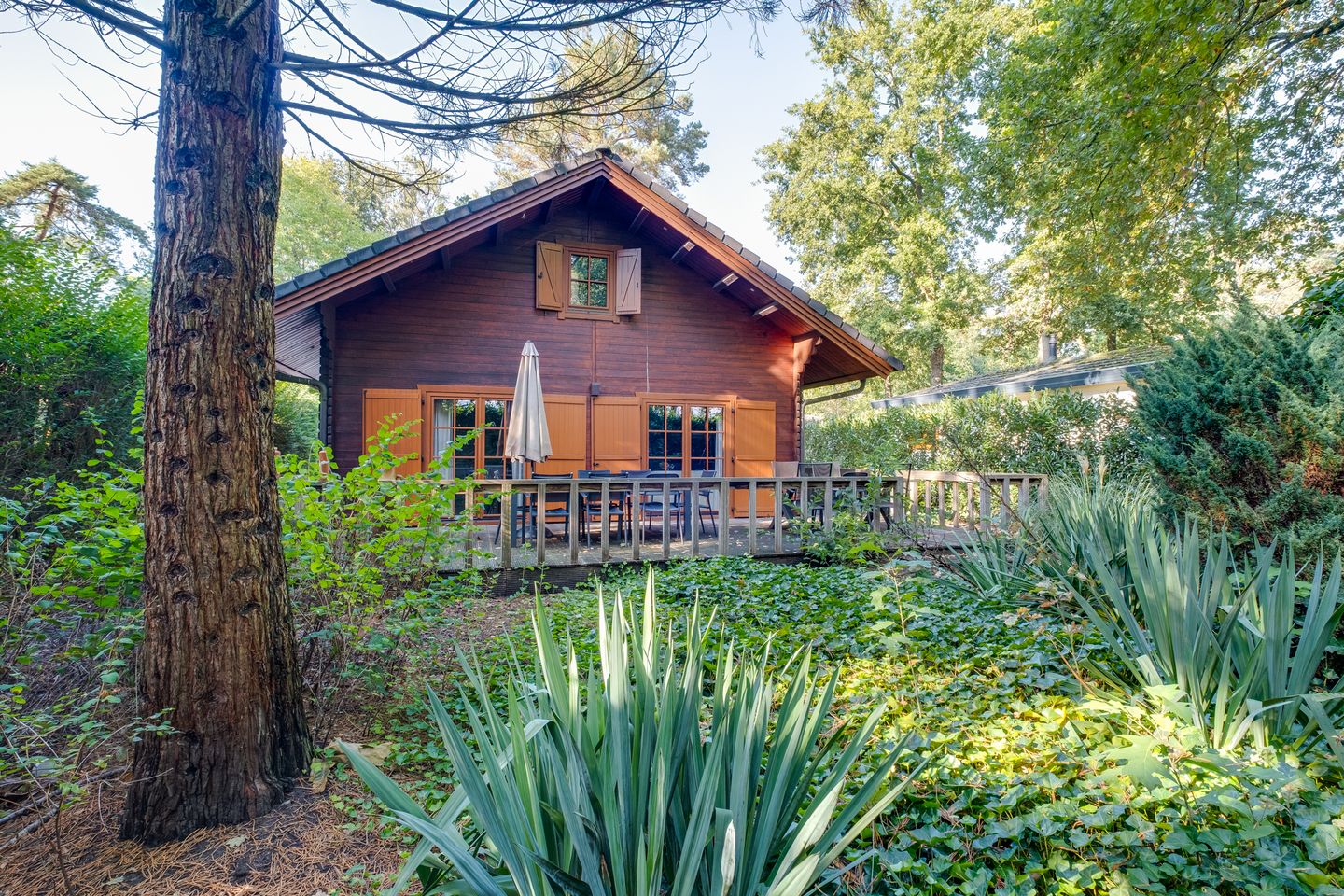 Foto 4 van Ploegdijk 2-98A