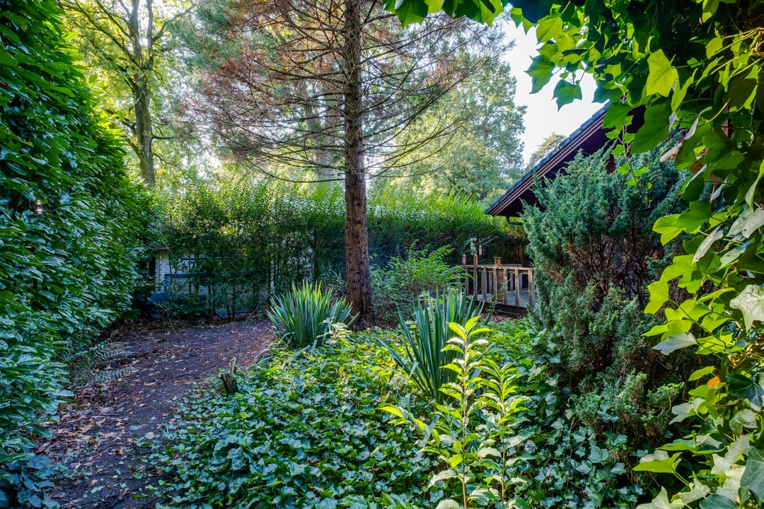 Foto 47 van Ploegdijk 2-98A