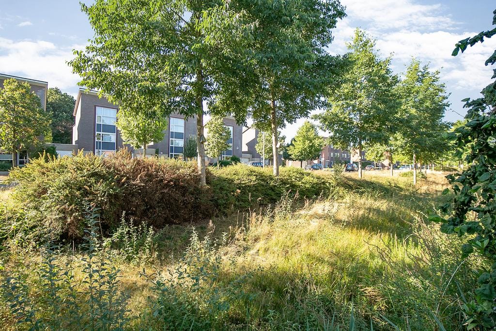 Foto 49 van Stedewaarts 65