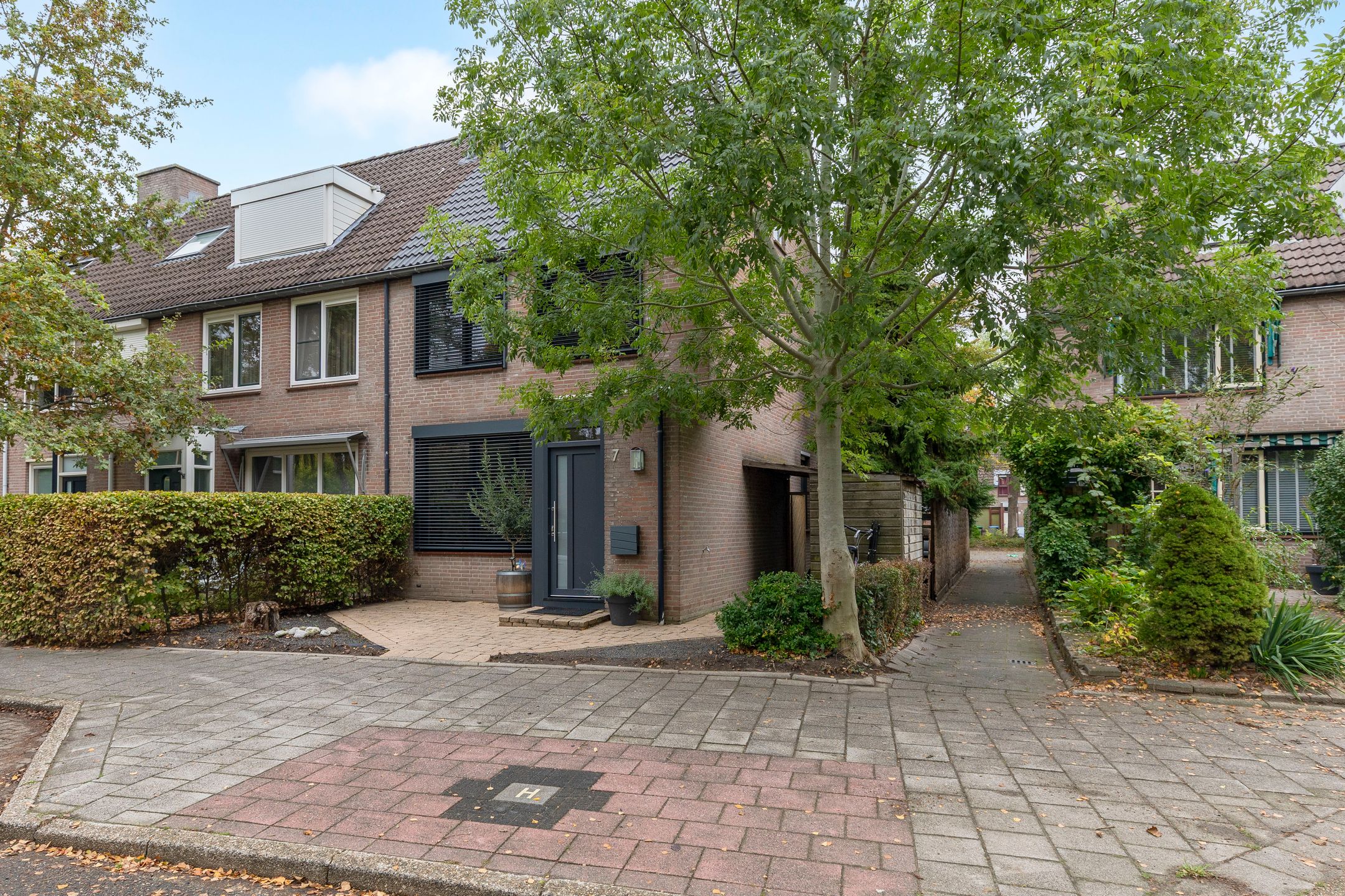 Foto 39 van Rietgors 7