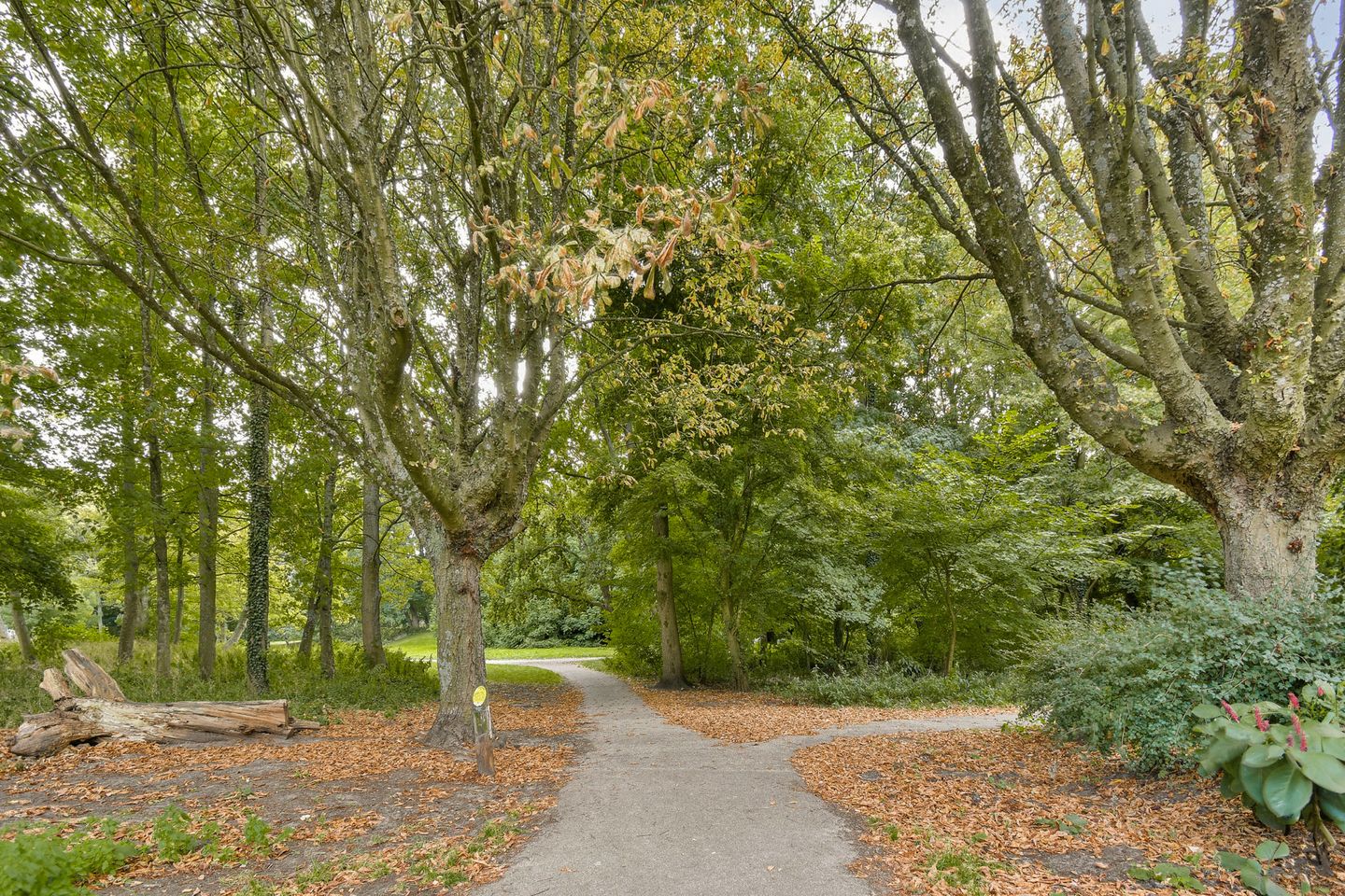 Foto 25 van Hoofdweg 359-2