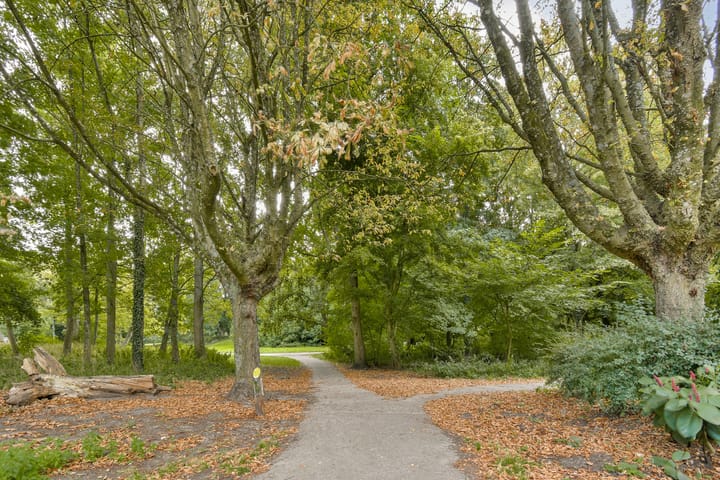 Foto 25 van Hoofdweg 359-2