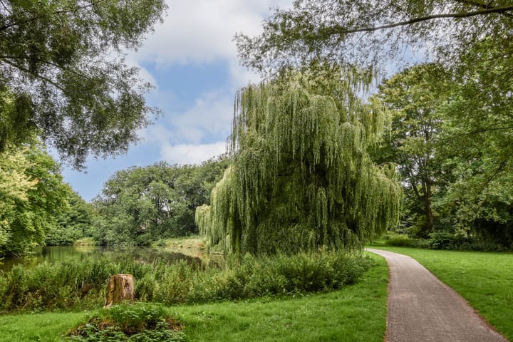 Foto 26 van Hoofdweg 359-2