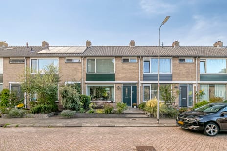 undefined main image