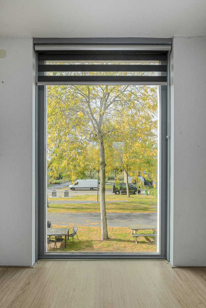 Foto 50 van Priemkruid 41