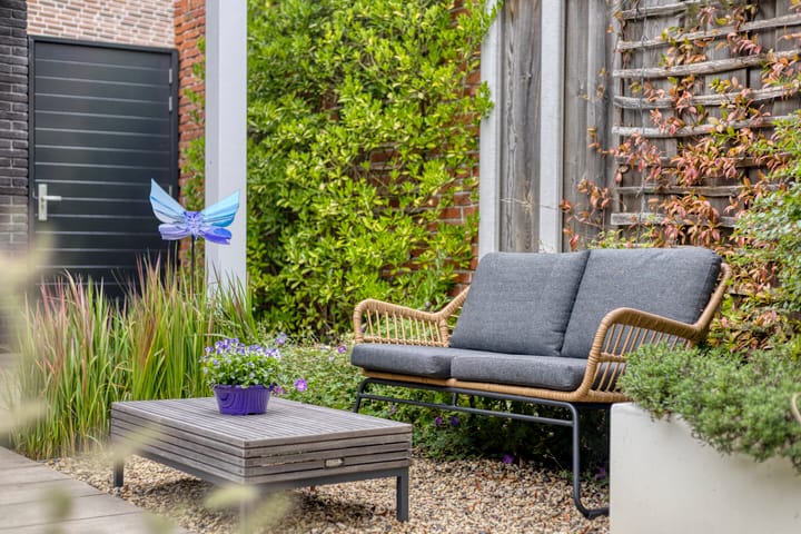 Photo 36 of Wijbo Fijnjestraat 10