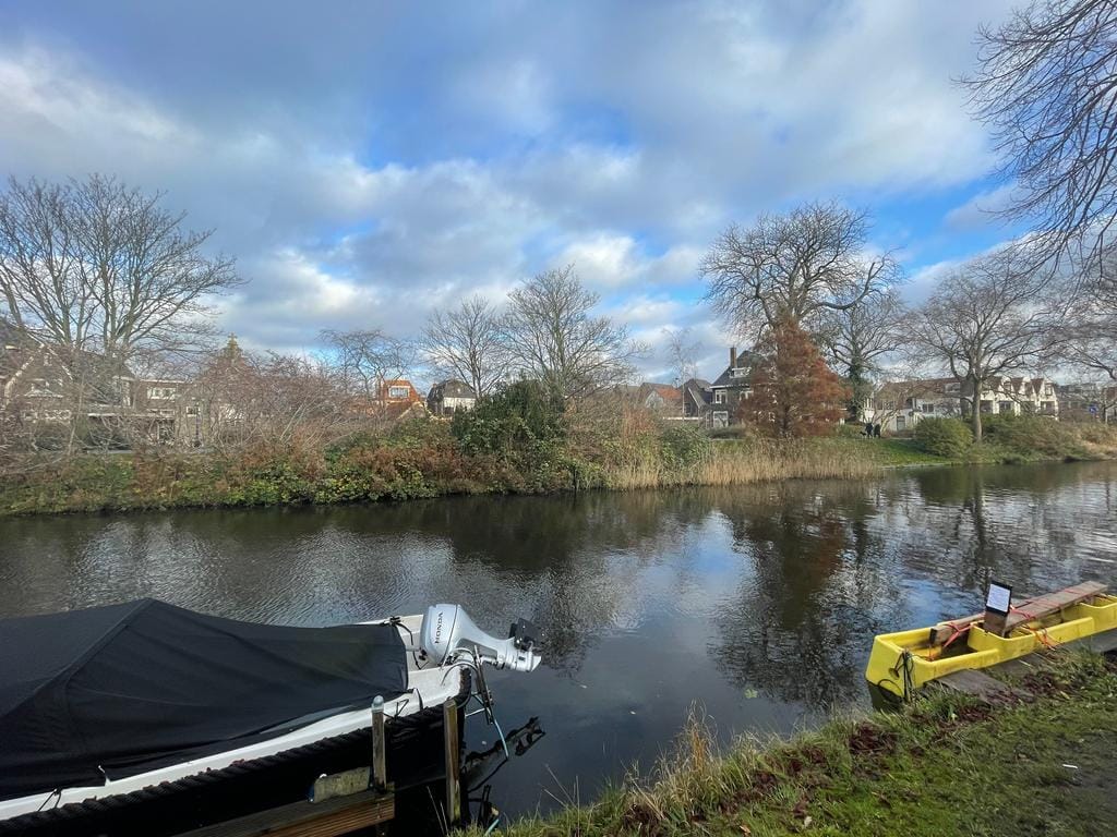 Foto 17 van Nieuwlandersingel 10