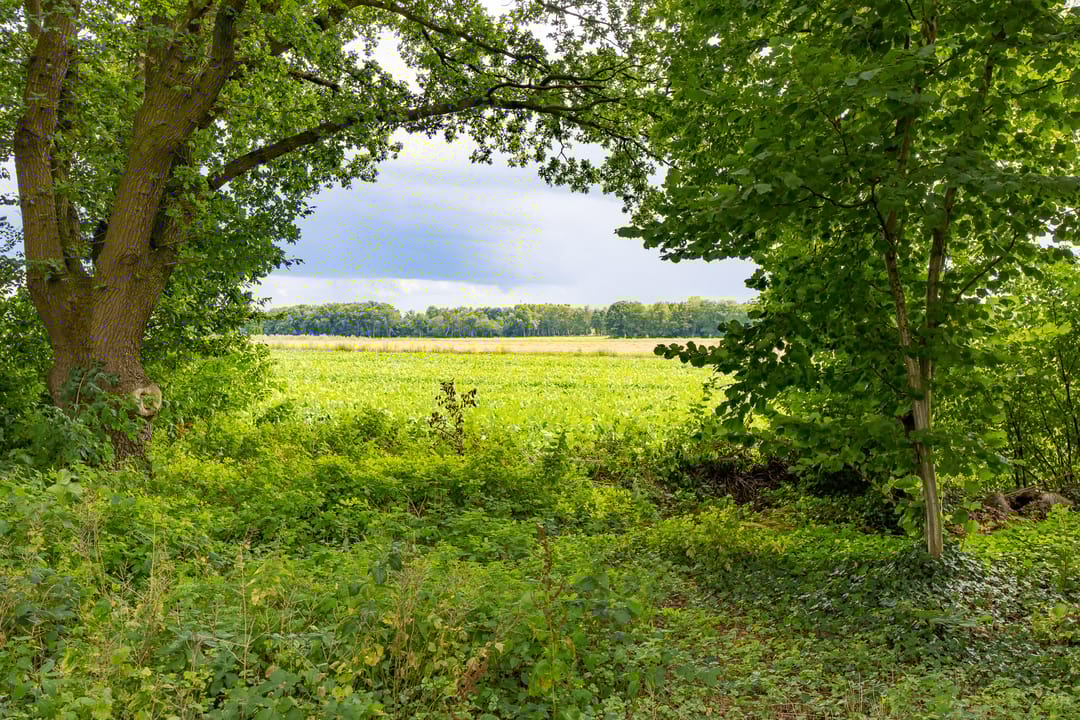 Foto 38 van Wolverlei 13