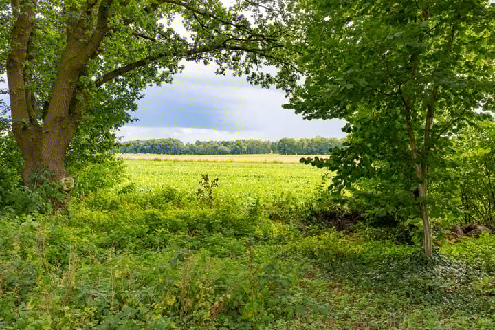 Foto 38 van Wolverlei 13