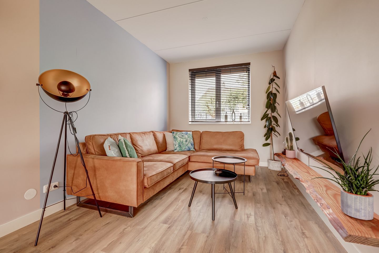 Foto 4 van Pastoor Lambermontstraat 10