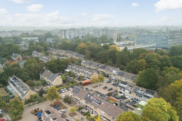 Photo 4 of Volkerak 55