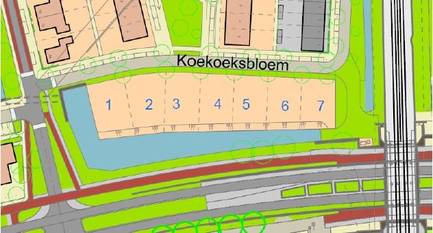 Foto 2 van Koekoeksbloem