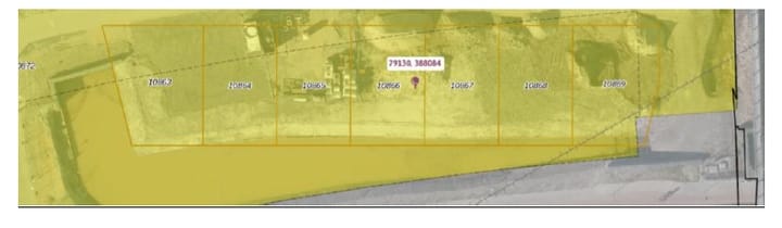 Foto 4 van Koekoeksbloem