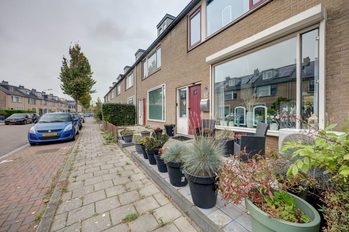 Foto 7 van Dolfijnstraat 29