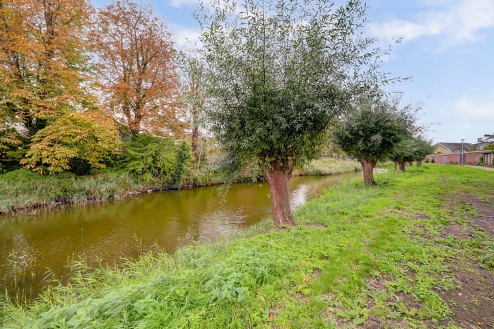 Foto 31 van Dolfijnstraat 29