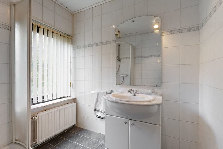 Foto 37 van 't Roems 9