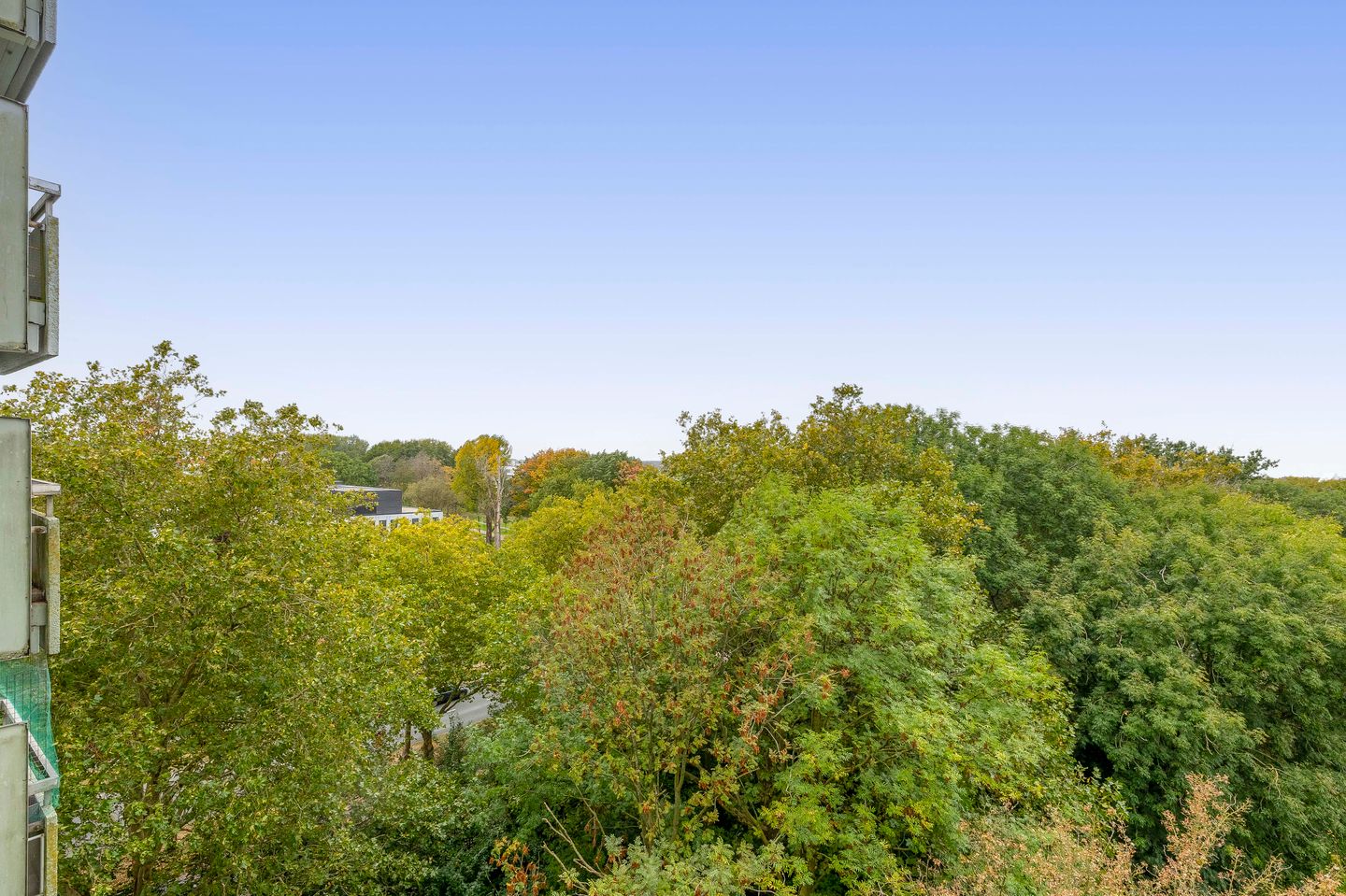 Foto 29 van Limburglaan 153