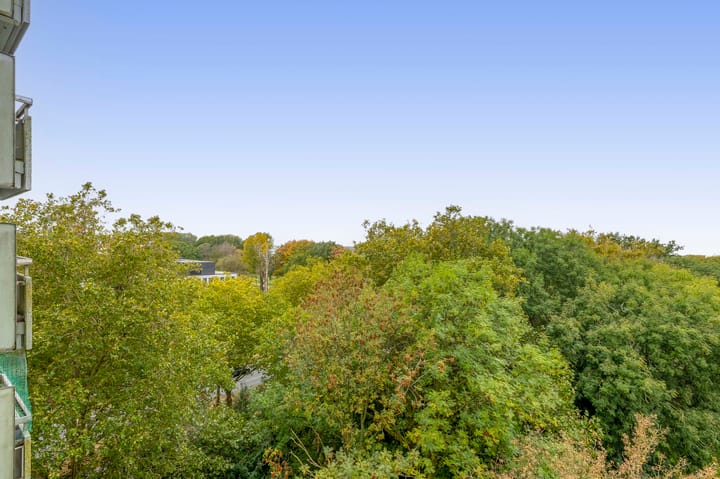 Foto 29 van Limburglaan 153