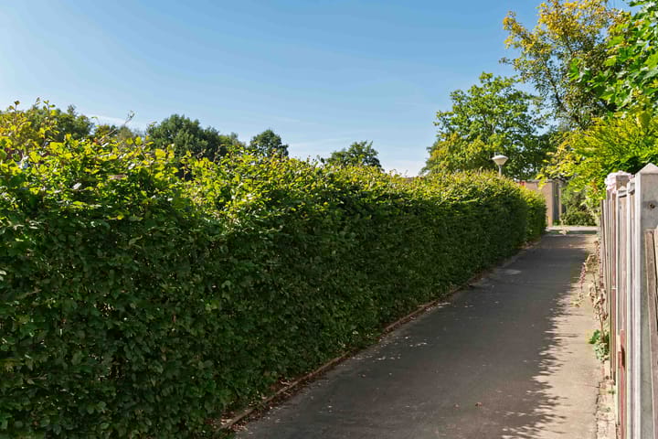 Foto 22 van Lekstraat 18