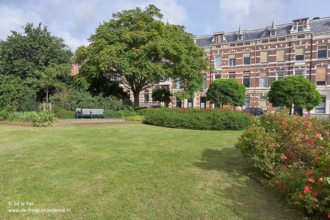 Foto 46 van Reinkenstraat 49