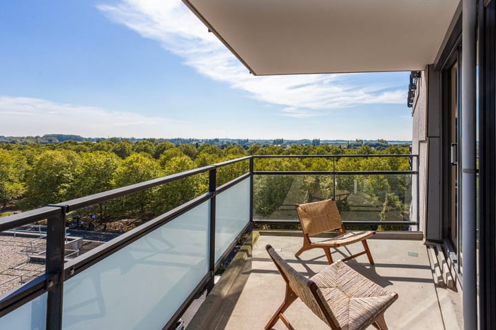 Foto 6 van Molenpolder 76