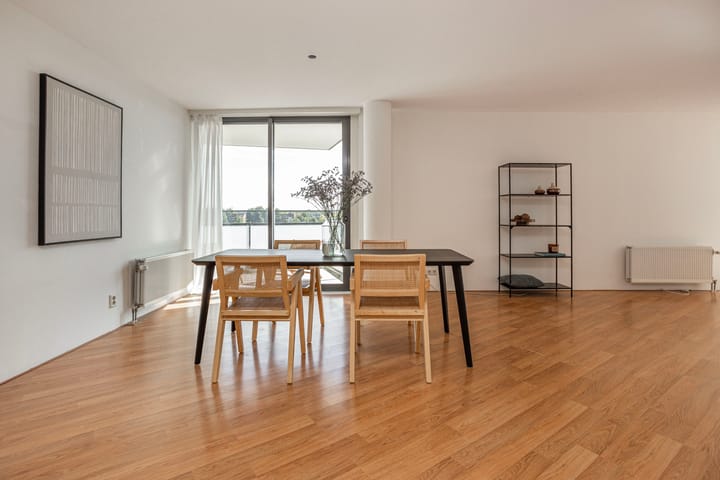 Foto 9 van Molenpolder 76