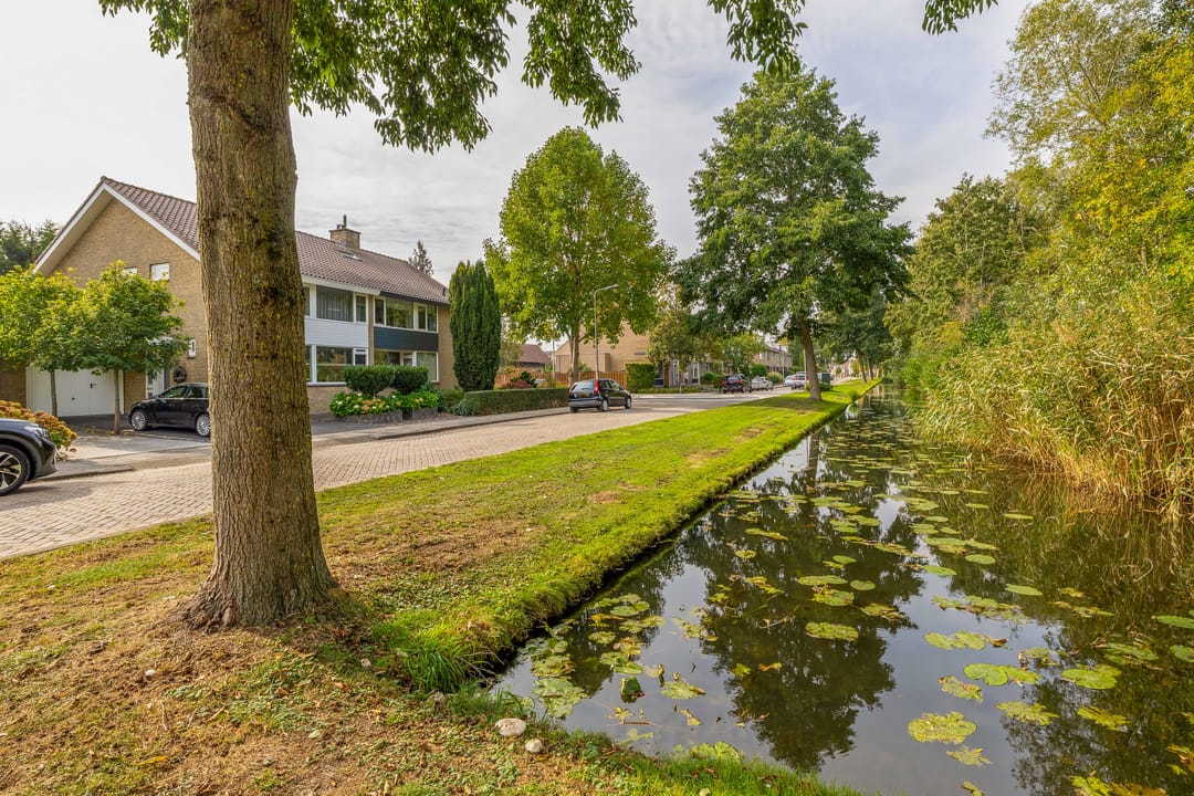 Foto 47 van Dr Albert Schweitzerstraat 51