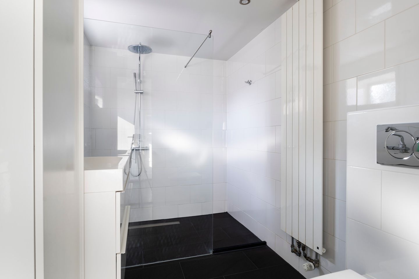 Foto 4 van van Loonstraat 65