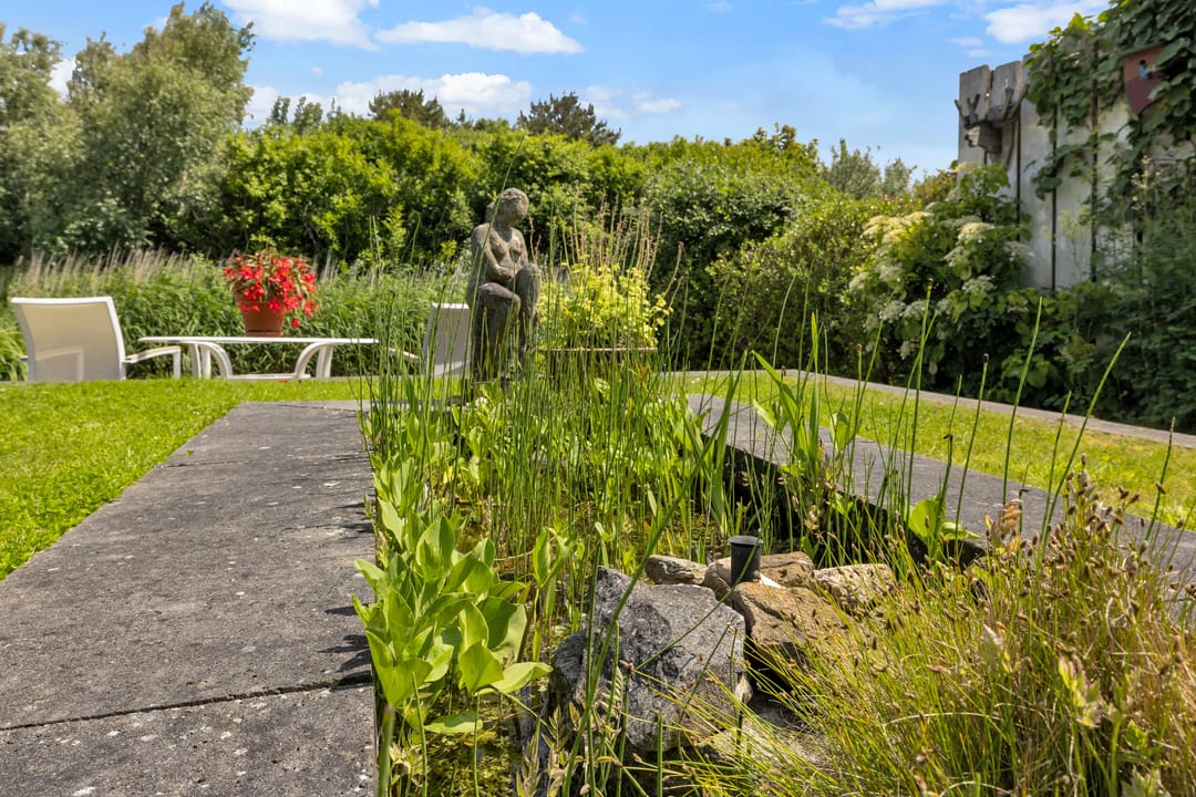 Foto 32 van Vliewint 10