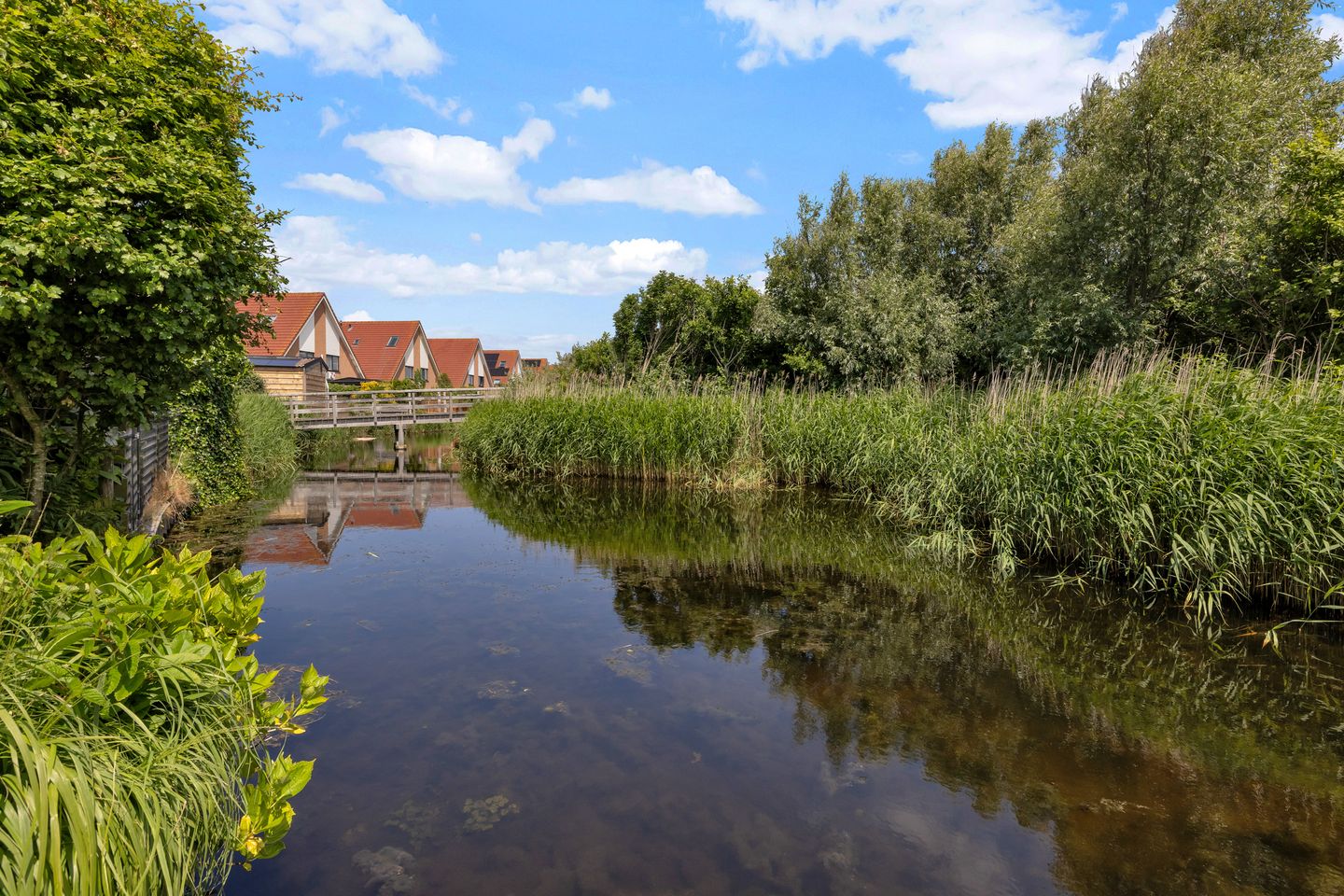 Foto 34 van Vliewint 10