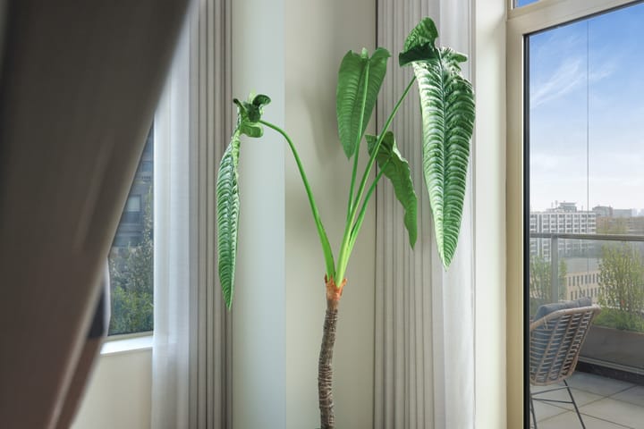 Foto 22 van Radarweg 310