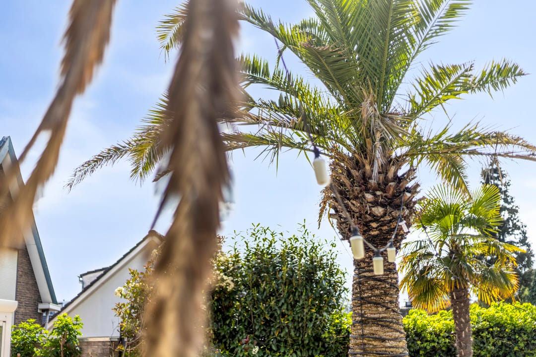 Foto 118 van Hatertseweg 600