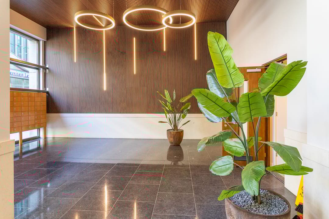 Foto 7 van Lage Zand 446