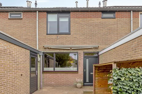 undefined main image