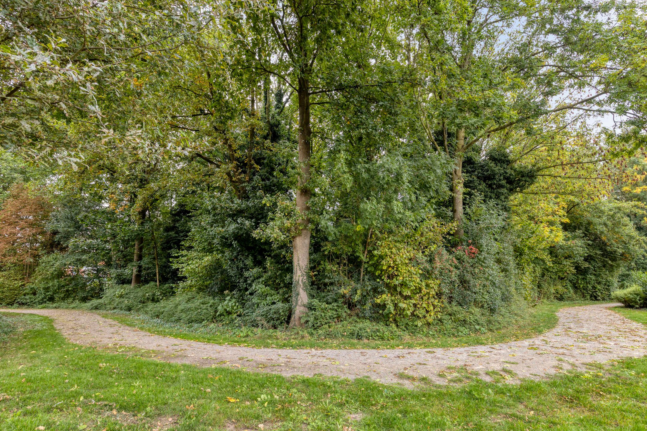 Foto 39 van Lage Veld 28