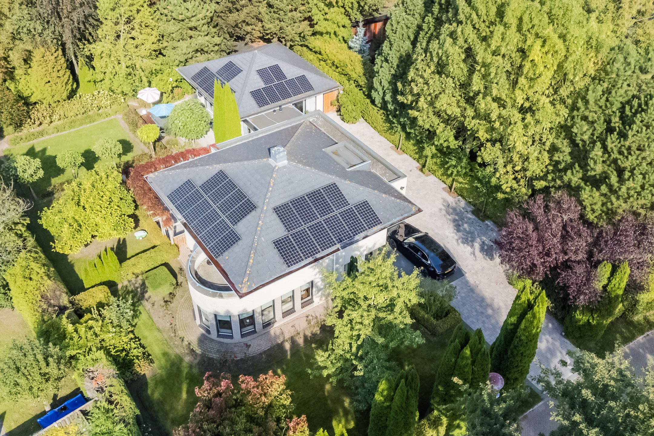 Foto 6 van Hollandse Hout 101