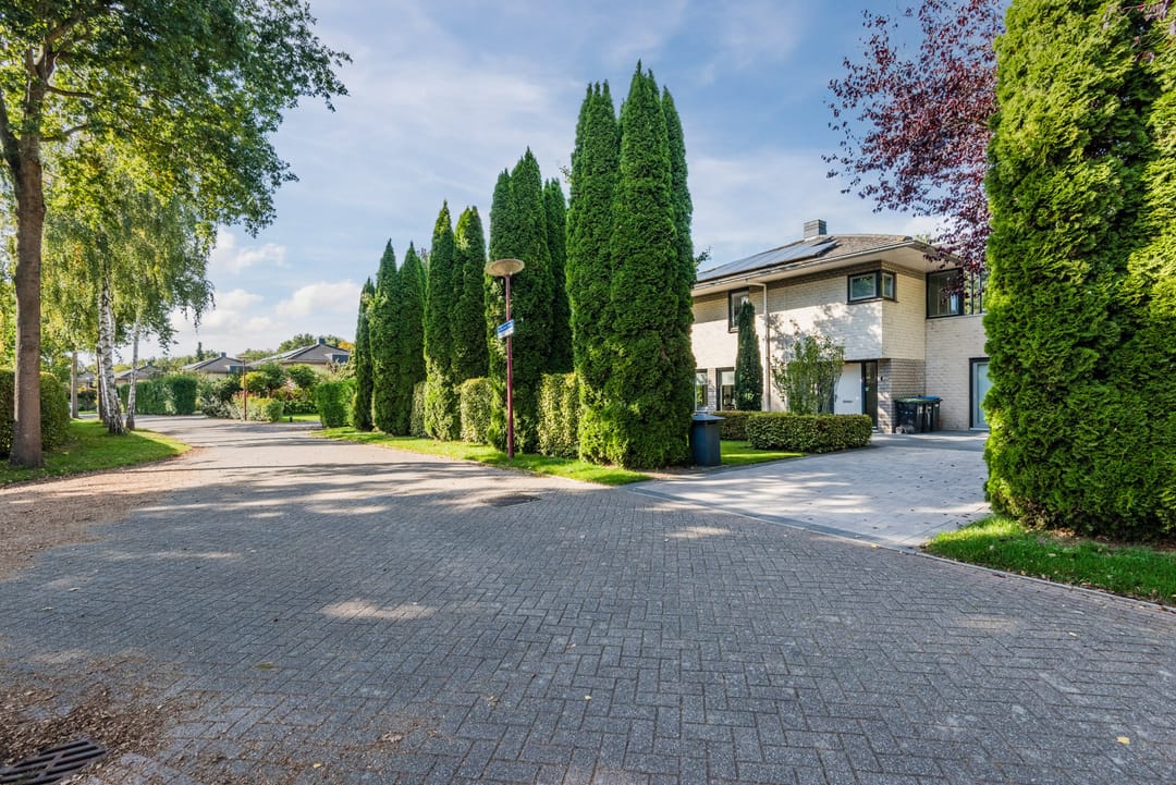 Foto 7 van Hollandse Hout 101