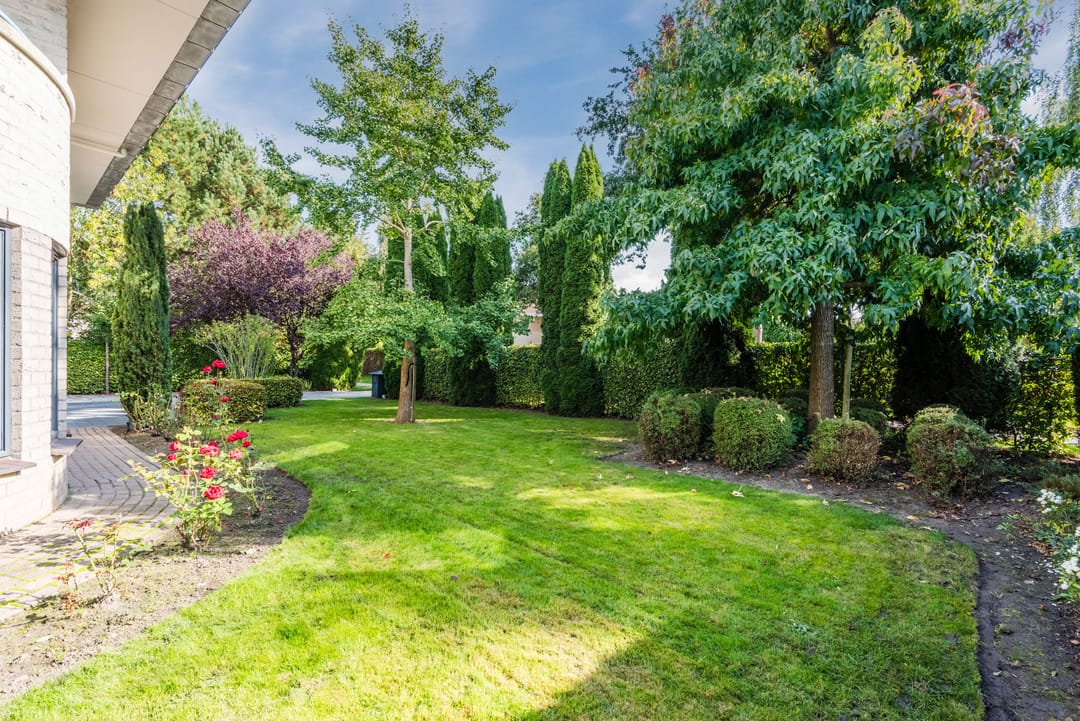 Foto 53 van Hollandse Hout 101