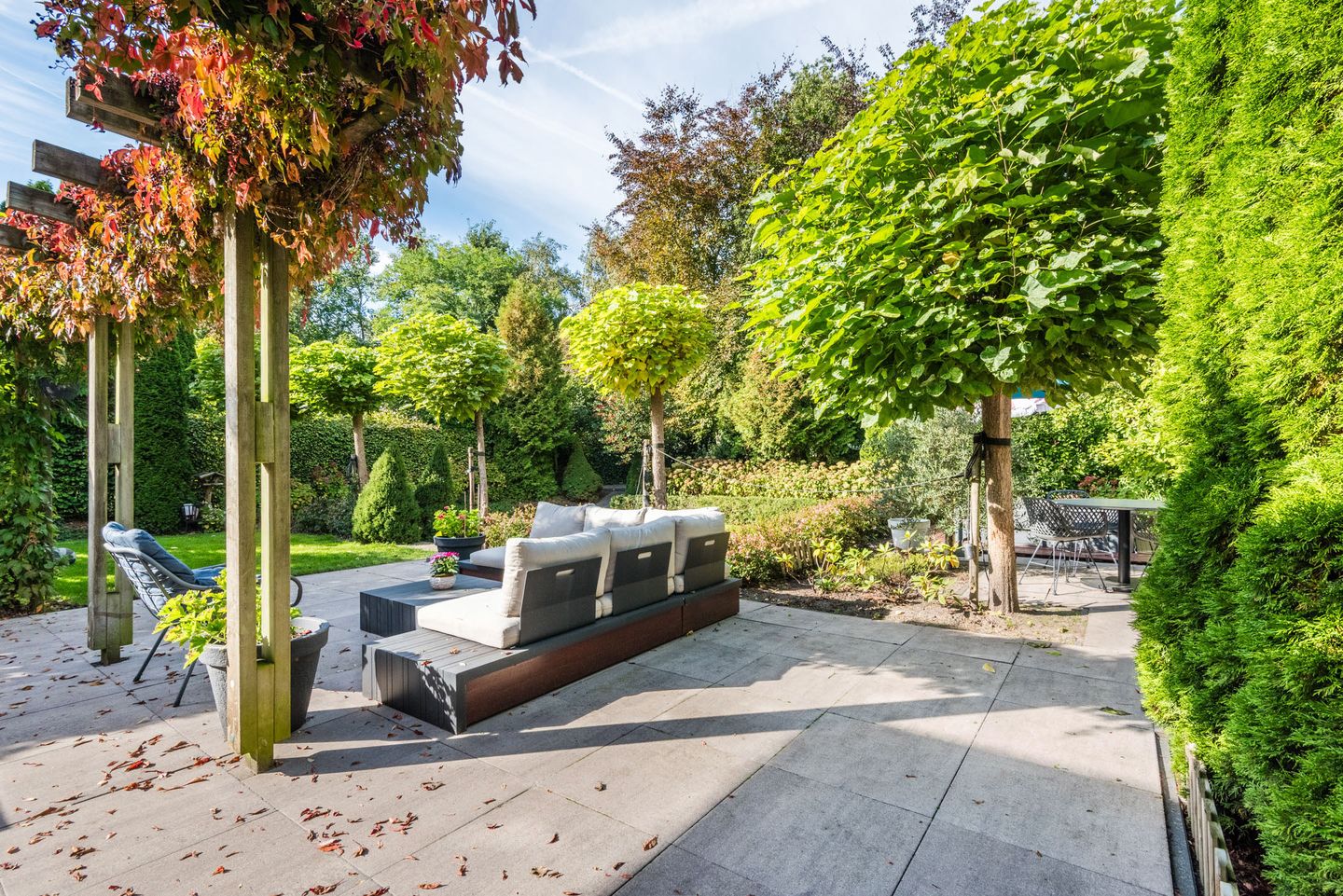 Foto 55 van Hollandse Hout 101