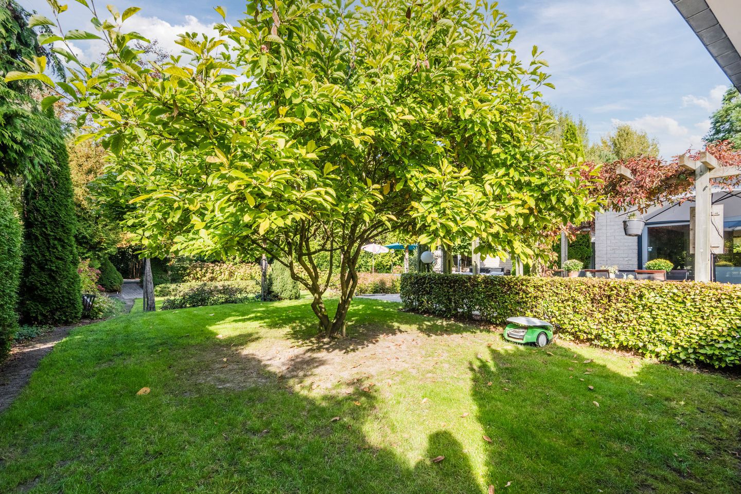 Foto 65 van Hollandse Hout 101