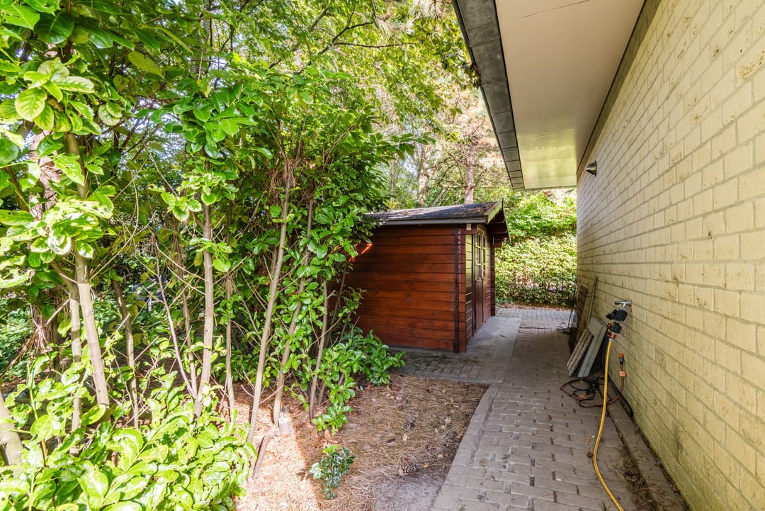 Foto 68 van Hollandse Hout 101