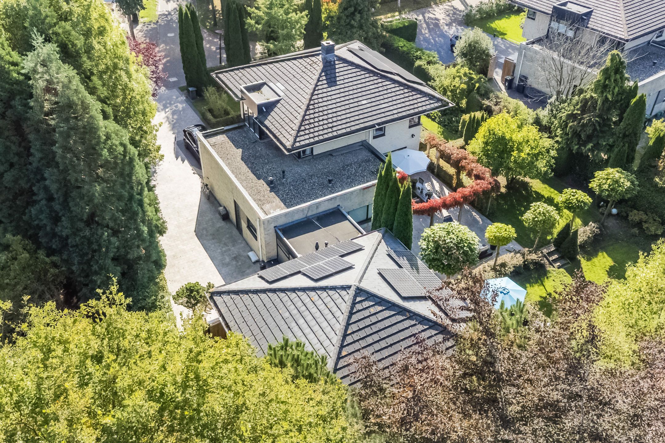 Foto 72 van Hollandse Hout 101