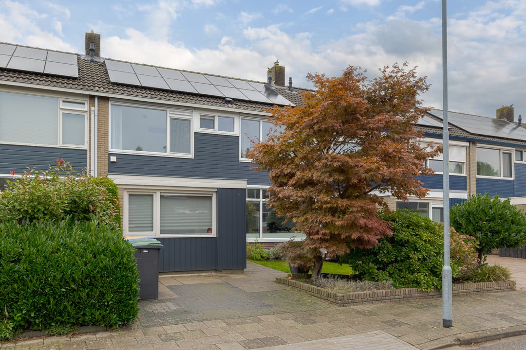 Photo 1 of de Mate 38