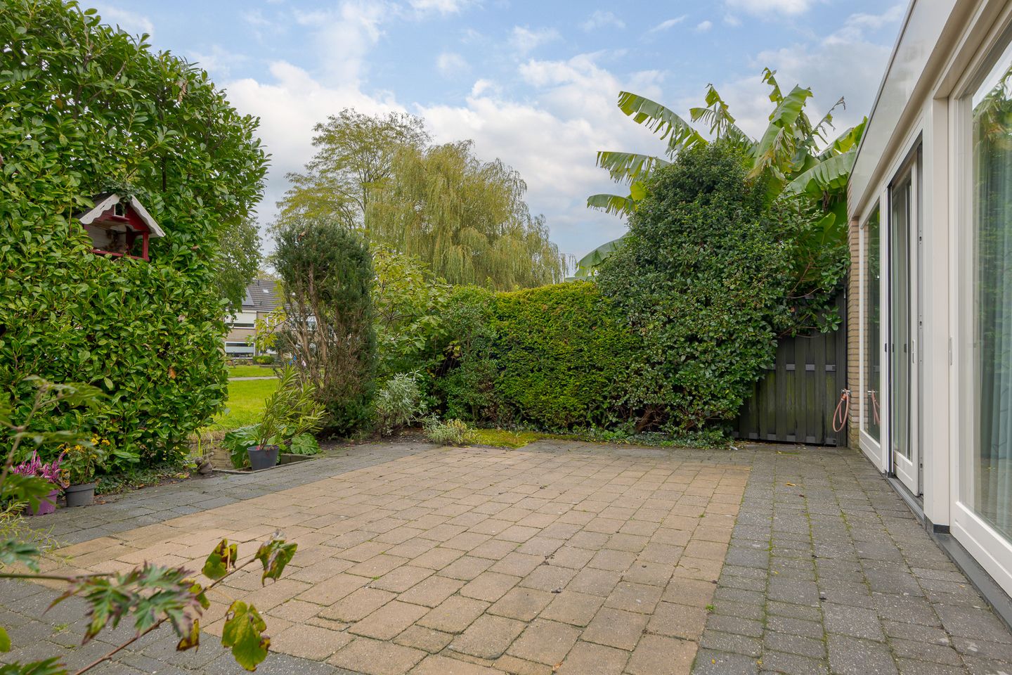 Photo 4 of de Mate 38